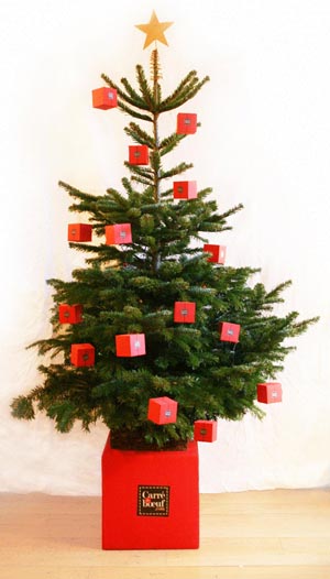 Un Sapin Carrément Beau